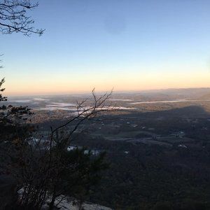 Meet your Posher, Pam